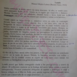 1era Prueba de voz ISER 2018 Relato